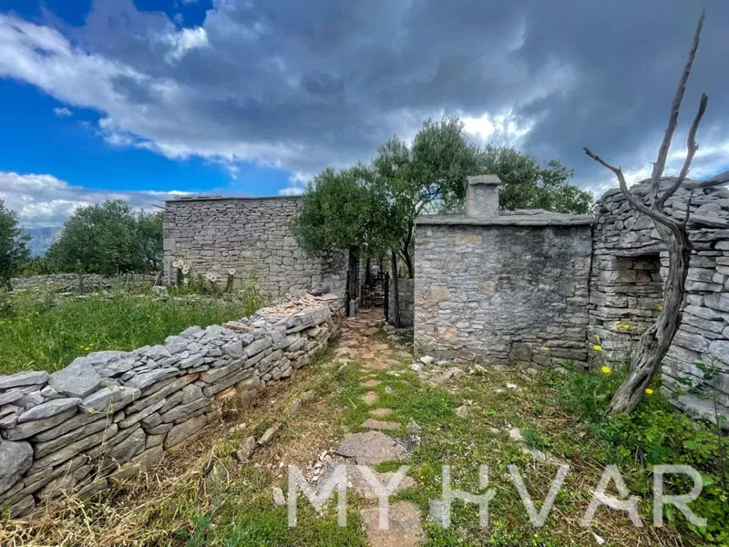 Doppelhaushälfte, Bauernhof und Olivenhain am Meer auf Hvar