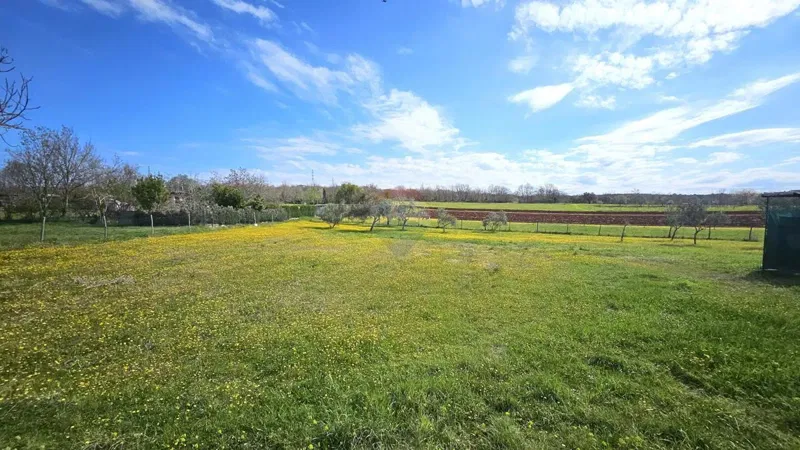 Building plot Umag, 3.364m2 – 2