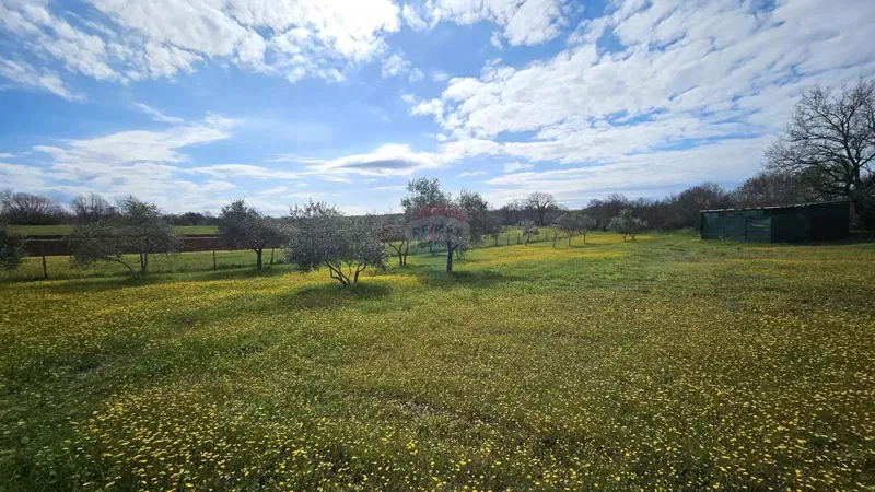Building plot Umag, 3.364m2 – 3