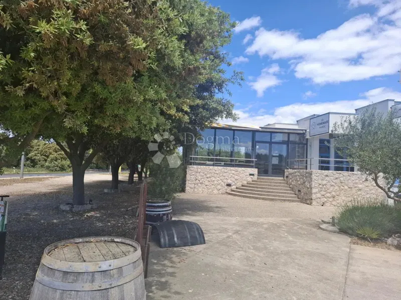 Lokal użytkowy Zaton, Nin, 502m2