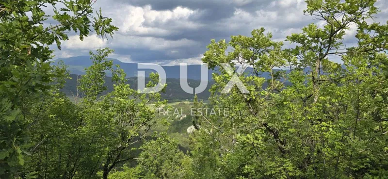 ISTRIA, GRAČIŠĆE - Complesso edilizio e agricolo con vista spettacolare – 3