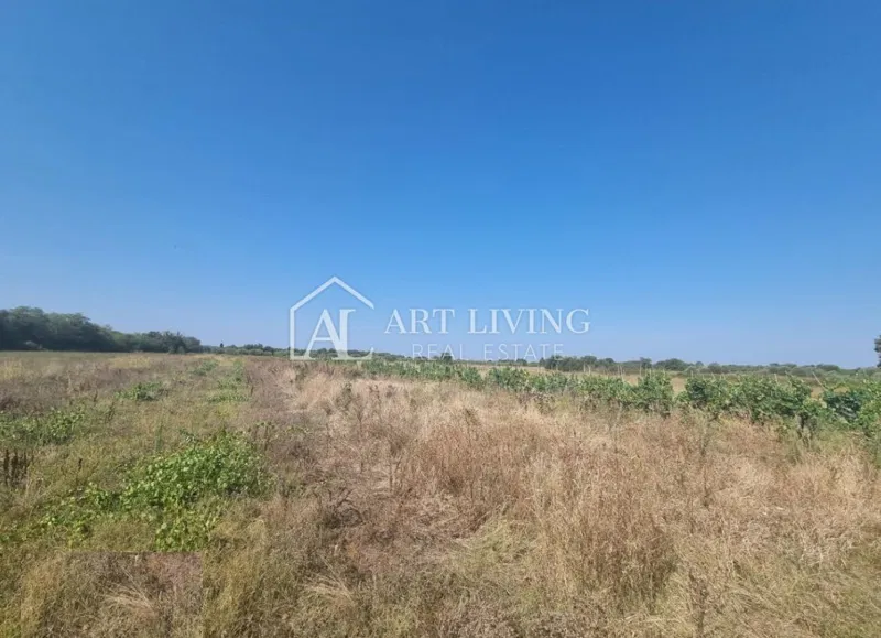 Brtonigla, okolica – prostorno kmetijsko zemljišče, 3.000 m² – 2