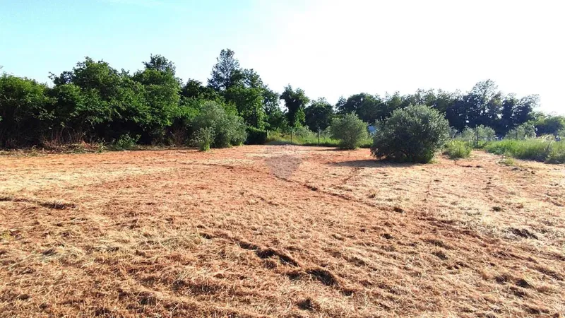Non-structural plot Lovrečica, Umag, 864m2 – 2