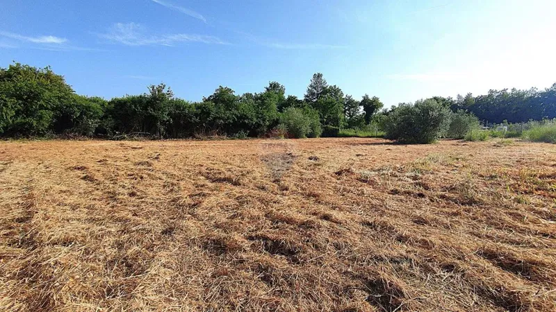 Non-structural plot Lovrečica, Umag, 864m2 – 3