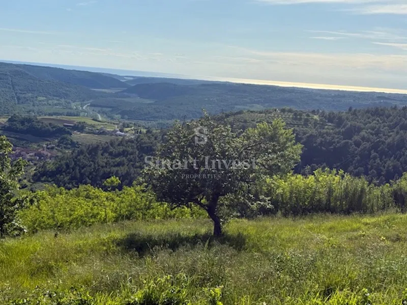 Zemljišče Završje, Grožnjan, 3.400m2 – 2