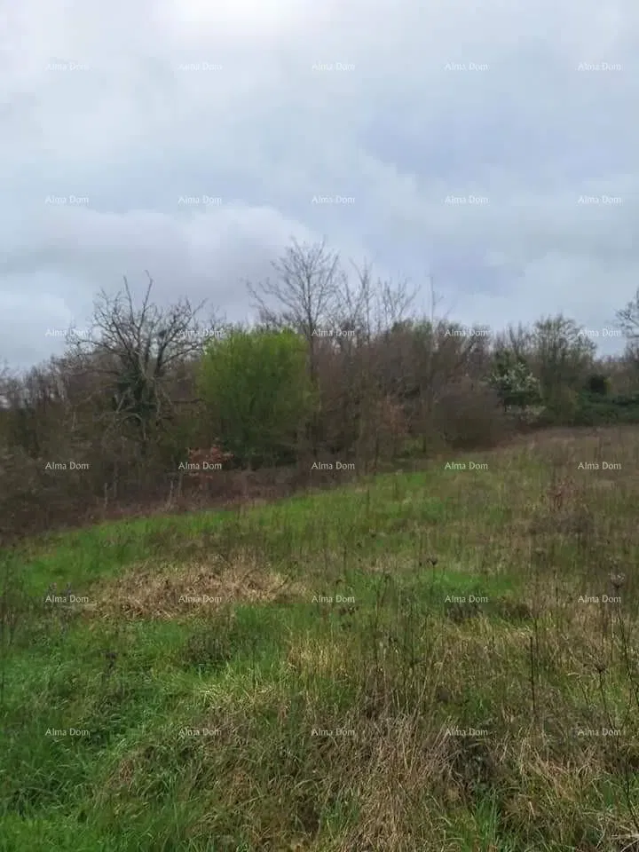 Construction and agricultural land for sale, near Žminj – 3