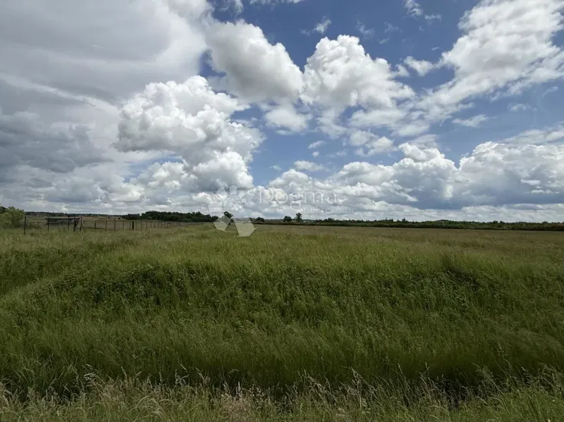 Ottima opportunità commerciale – terreno a destinazione produttiva e commerciale – 2