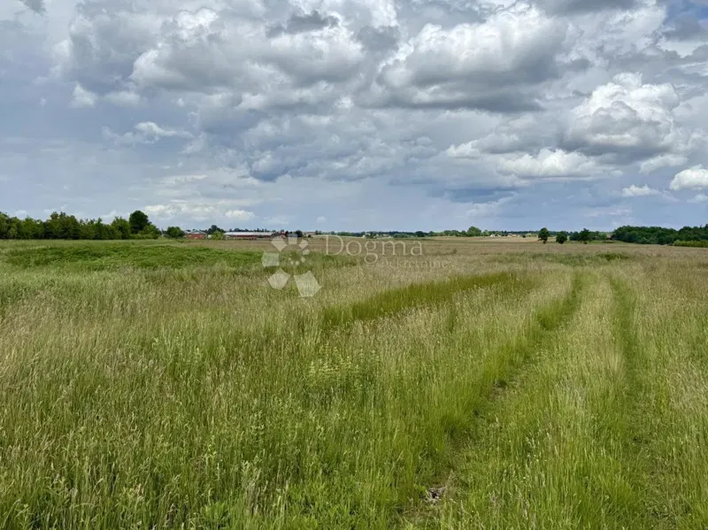 Ottima opportunità commerciale – terreno a destinazione produttiva e commerciale – 3