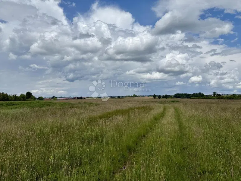 Rare on the market! Large industrial/commercial land – 3