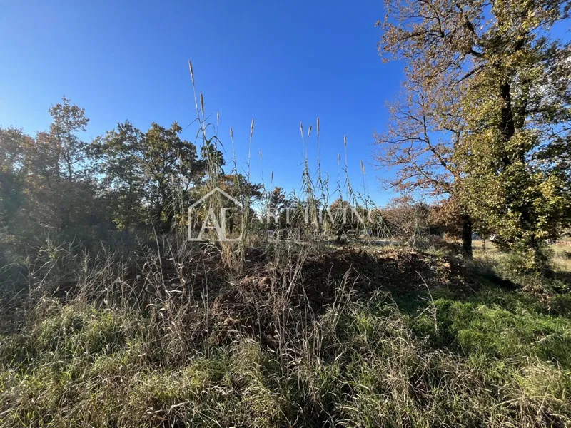 Brtonigla, okolica-poljoprivredno zemljište-mirna i prirodna lokacija – 3