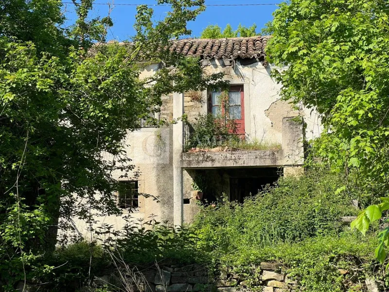 Istra okolica Buzeta kamena starina sa velikom okućnicom – 3