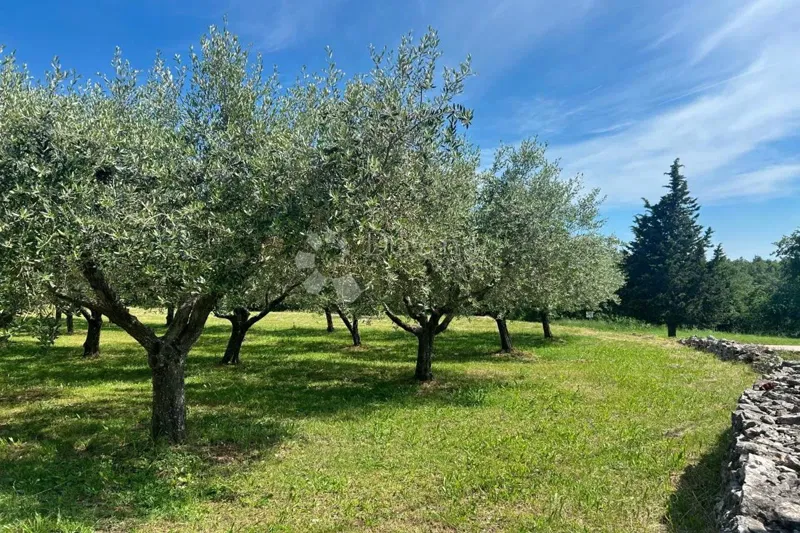 Teren budowlany Sveti Lovreč, 980m2 – 2