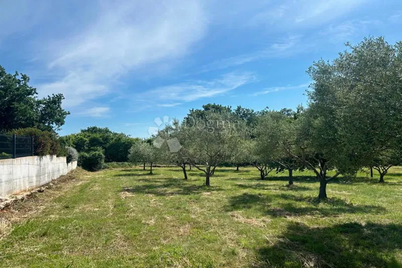 Építési telek Sveti Lovreč, 980m2 – 2