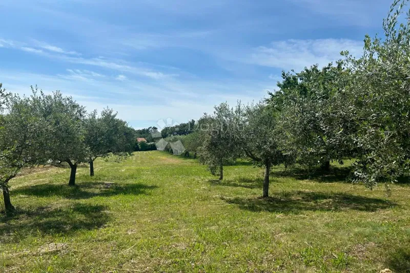 Építési telek Sveti Lovreč, 980m2 – 3