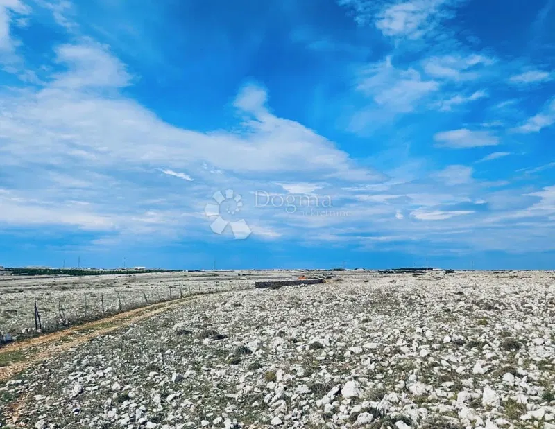 Agricultural land Povljana, 7.826m2 – 2