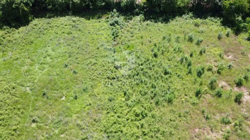 Poreč - Surroundings - Excellent Building Land 906 m² with Project and Permit – 3