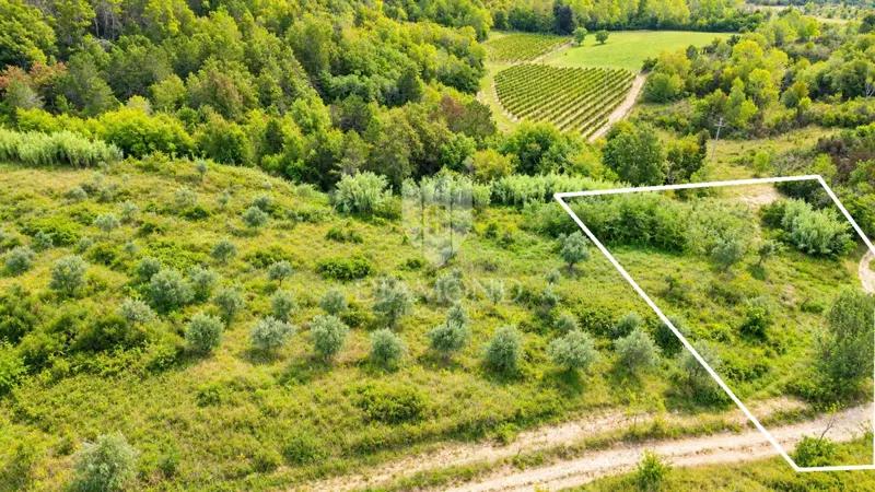 Istria, Buje, surroundings - investment opportunity! – 3