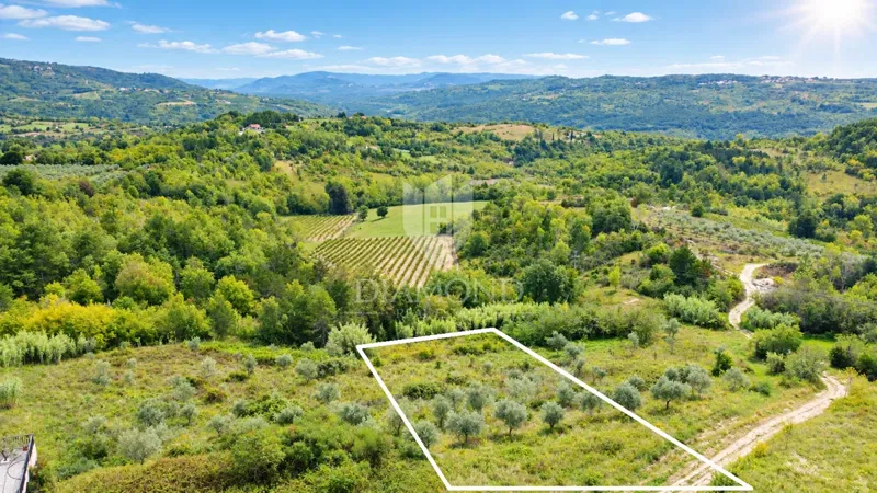 Istria, Buje, surroundings - investment opportunity! – 2