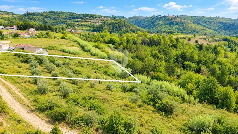 Istria, Buje, surroundings - investment opportunity! – 3