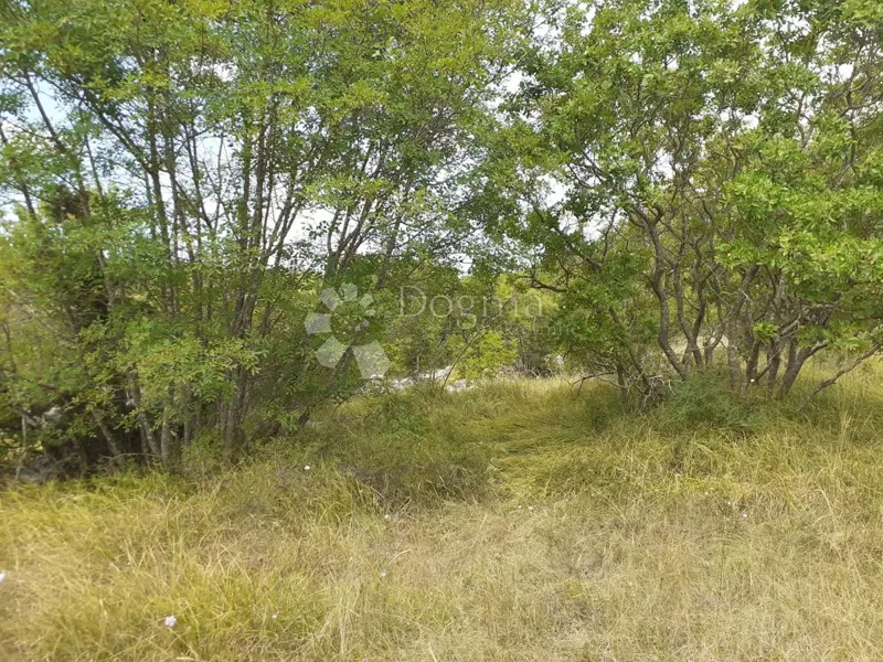 Земля Bale, 42.926m2 – 2