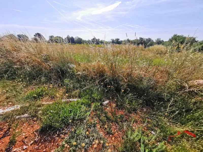 Ližnjan, Šišan, agricultural land – 2