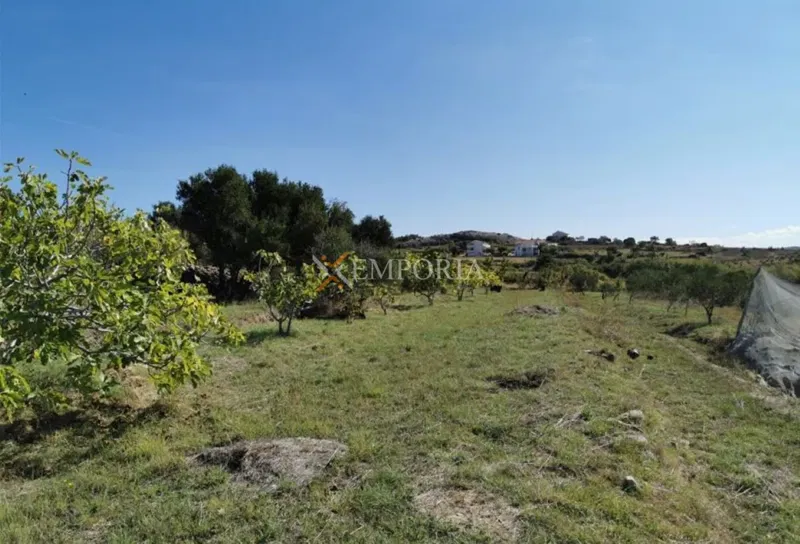 Terreno Rtina – 2