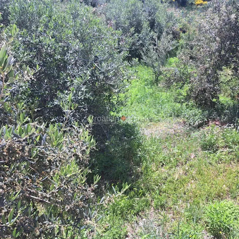 Gašpini – Građevinsko zemljište s pogledom na Split, na prodaju