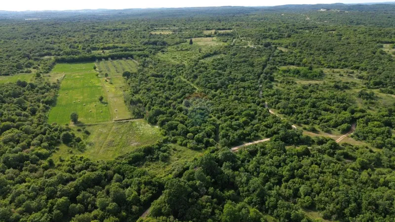 ISTRIA, BALE – Affordable Agricultural Land – 2