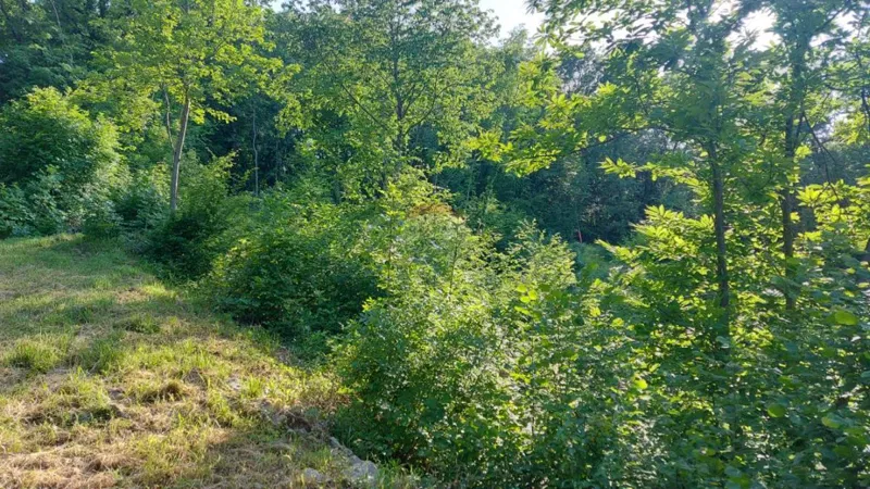 Terreno non edificabile Klana, 2.062m2 – 2