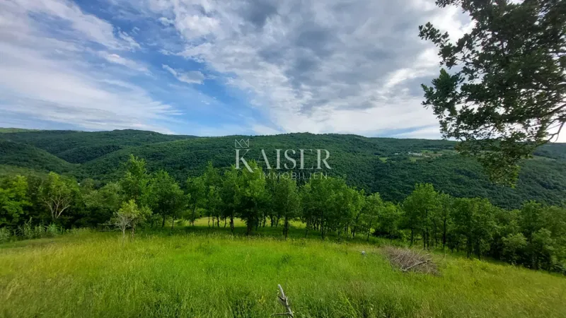 Istria, Motovun, surroundings - building land 880m2 – 2