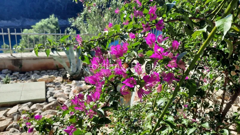 Seafront villa with pool, for sale – 3