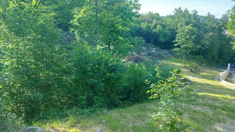 Non-structural plot Klana, 6.815m2 – 2