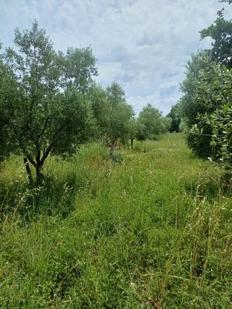 Земельный участок строительного назначения Mali Vareški, Marčana, 2.976m2 – 2