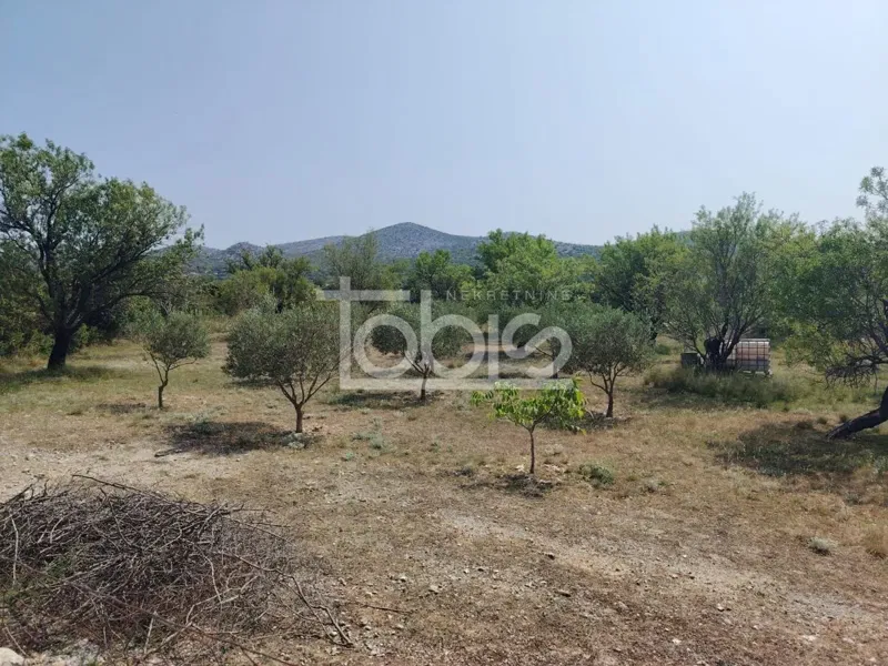 STANKOVCI / BANJEVCI - građevinsko zemljište