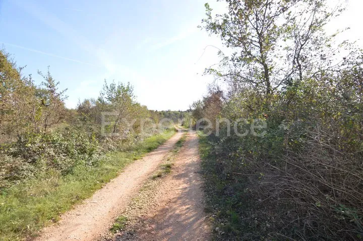 Bačva, terreno agricolo 6.118 m² con strada d’accesso – 2