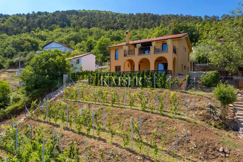House Poljane, Opatija - Okolica, 300m2 – 3