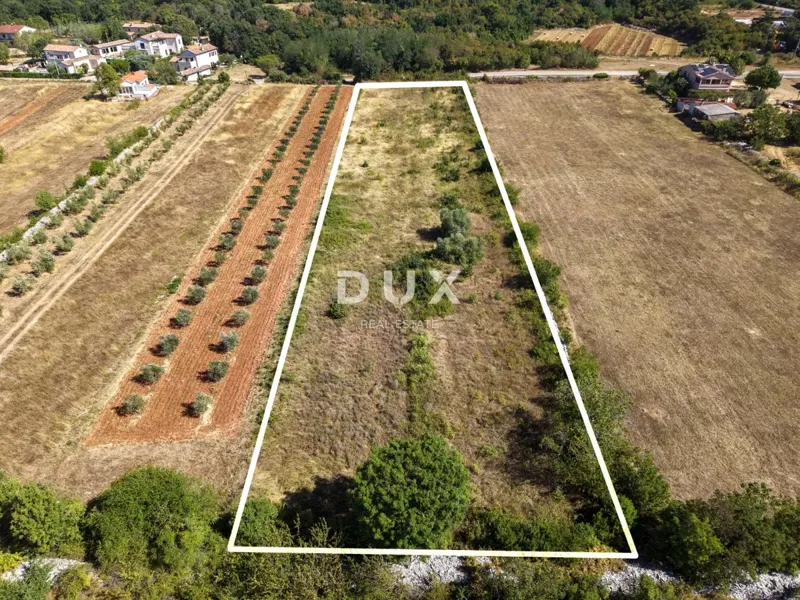 ISTRIA, VODNJAN - Terreno edificabile per la costruzione di una casa familiare, una casa vacanze o una villa con piscina – 2