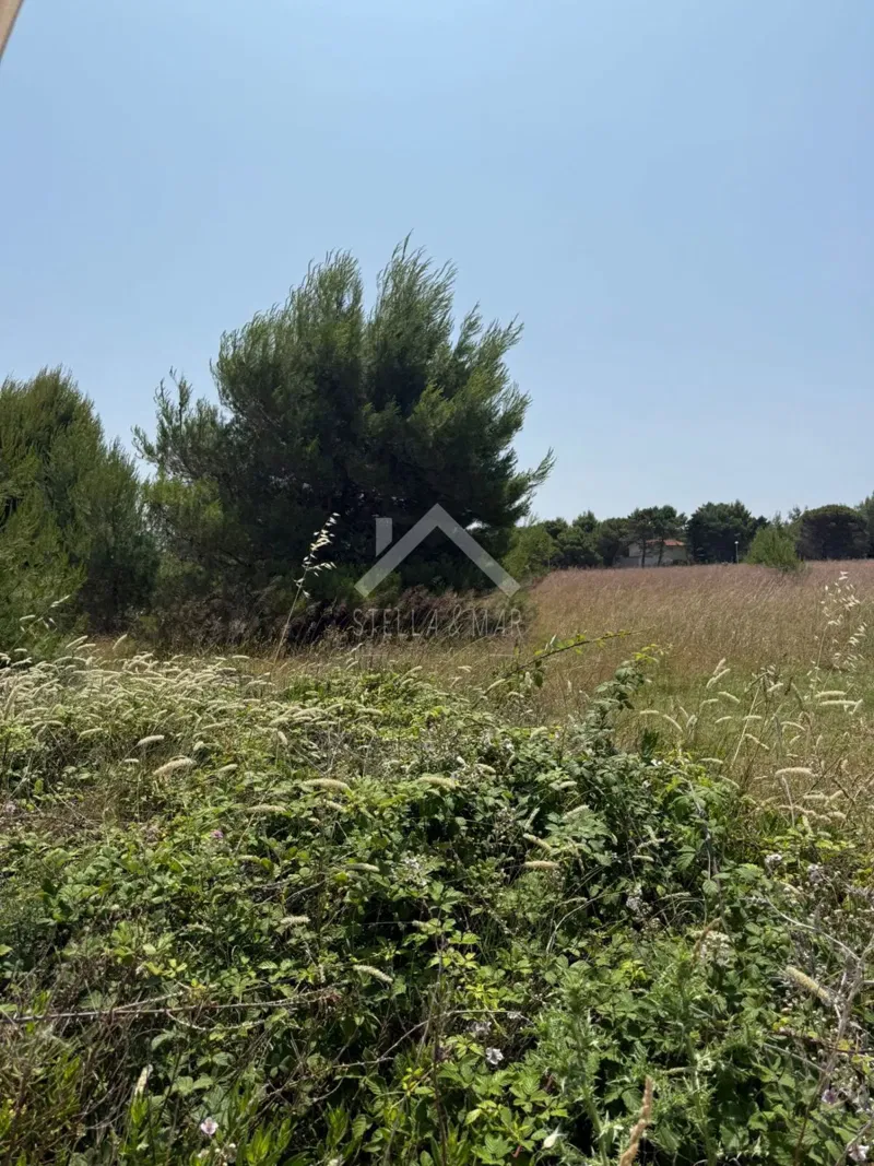 Land Vir, 1.760m2 – 3