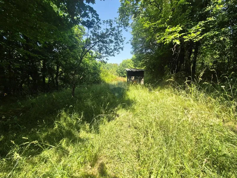 Terreno non edificabile Šapjane, Matulji, 381m2 – 2