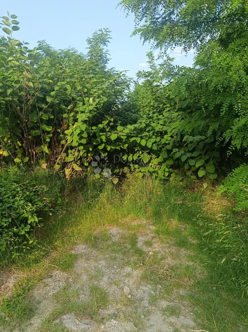 Terreno edificabile Novoselec, Gornja Dubrava, 1.039m2 – 3