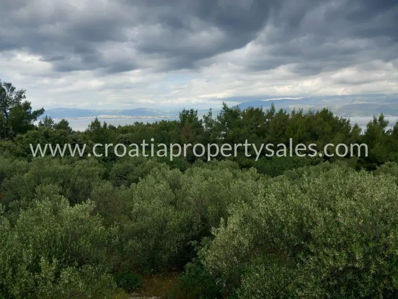 Brac, agricultural land for sale, 70.000 € – 2