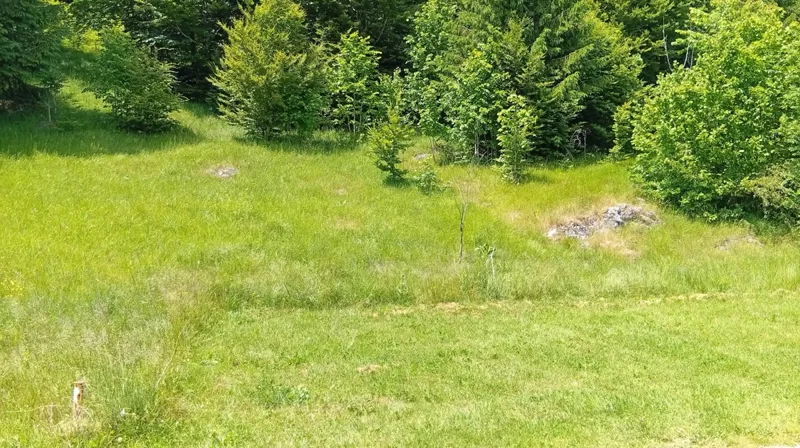 Gorski kotar, Stari Laz zemljište prodaja – 2