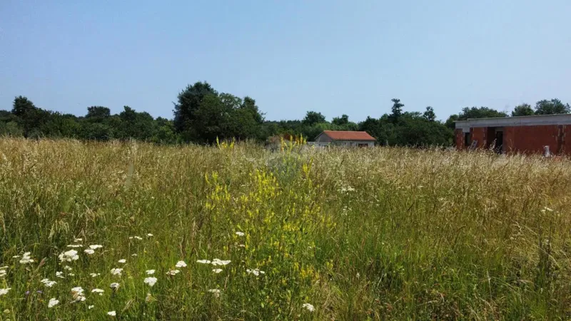 Istria – Building Plot near Bale and Rovinj – 3