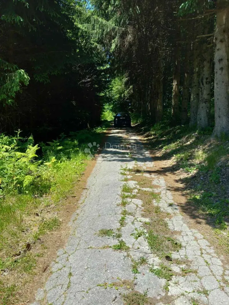 Terreno agricolo Kamensko, Vrbovsko, 7.176m2 – 2