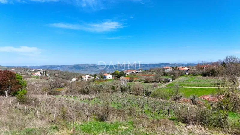Telek Motovun – 3