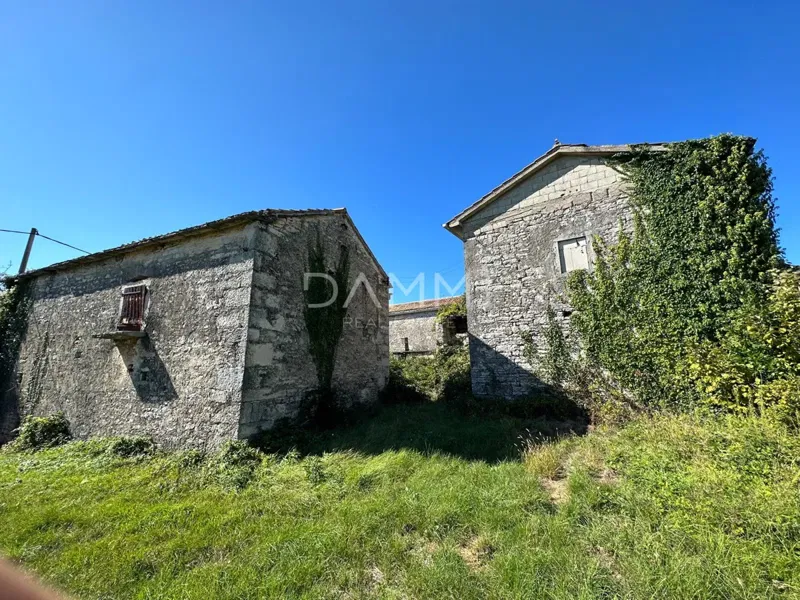 Dom Žminj – 3