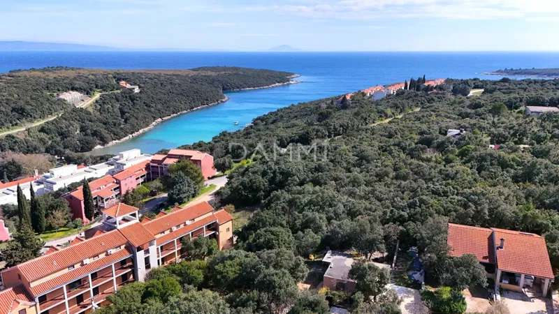 Telek Pavićini – 2