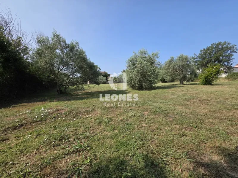 Building land with a project to build six residential units near Umag – 3