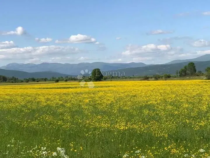 Sveti Rok - Poljoprivredno zemljište