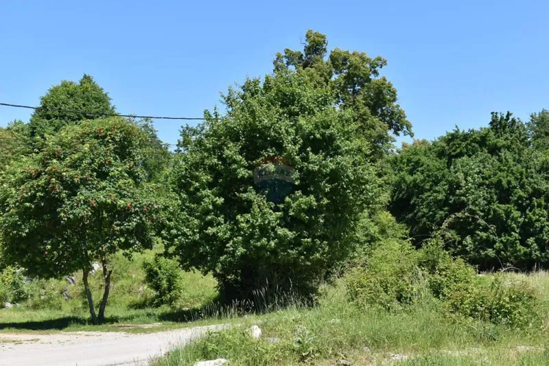 Building plot Mučići, Matulji, 13.802m2 – 2